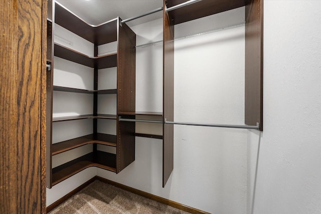 walk in closet with carpet flooring