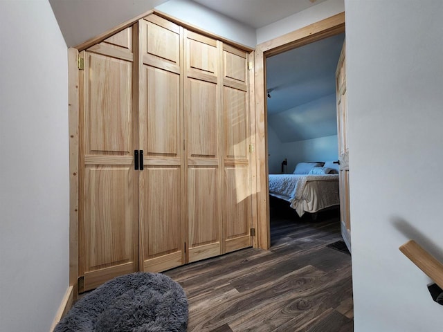 hall featuring dark hardwood / wood-style flooring and lofted ceiling