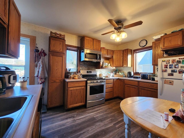 kitchen with dark wood-type flooring, ceiling fan, sink, and appliances with stainless steel finishes