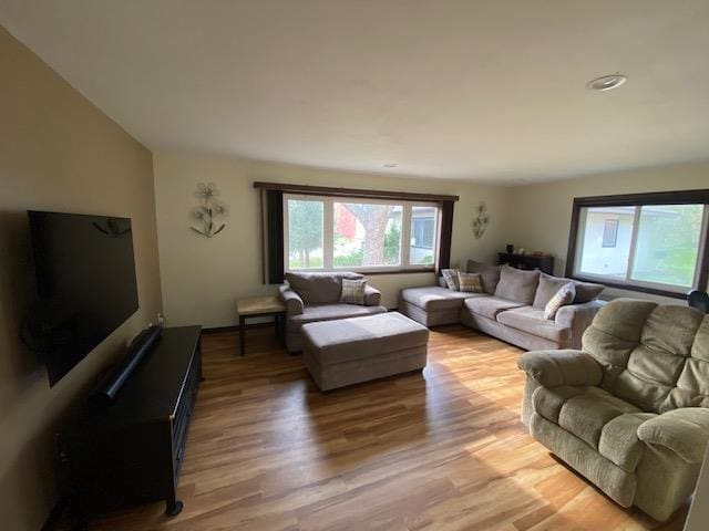 living room featuring light wood-type flooring and vaulted ceiling