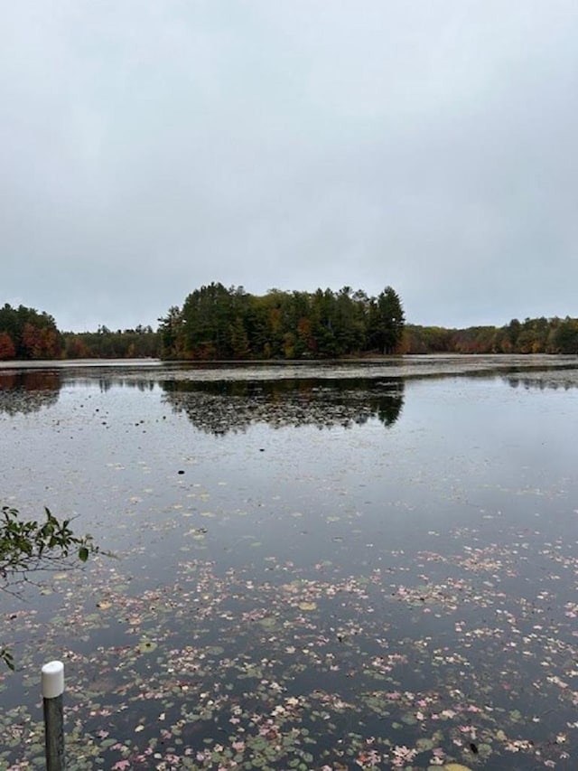 view of water feature