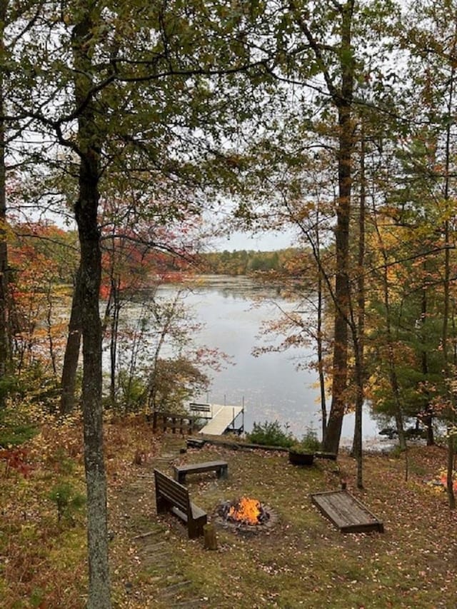 property view of water featuring a boat dock