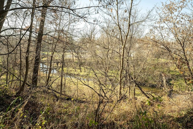 view of local wilderness featuring a water view