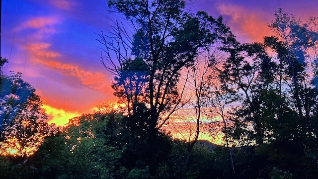 view of nature at dusk