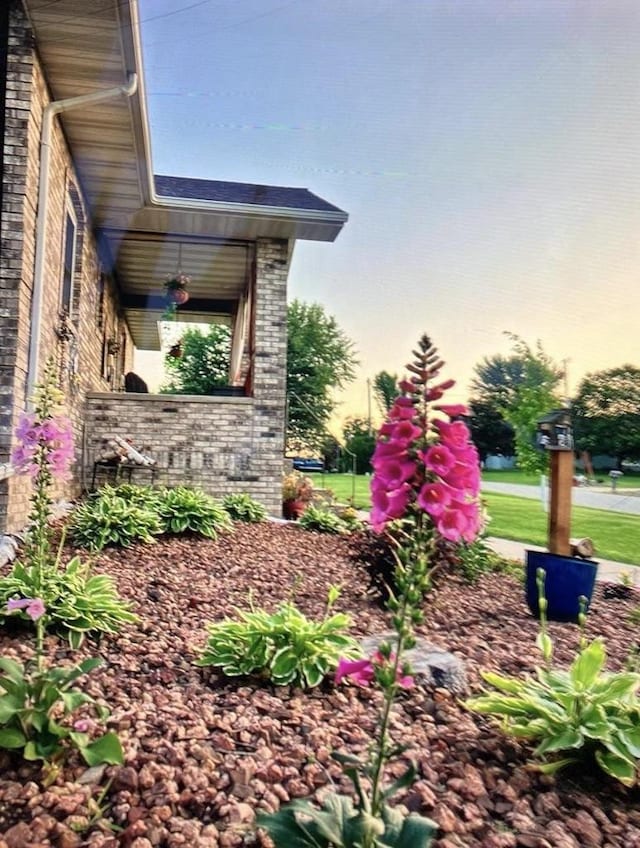 view of yard at dusk