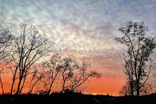 view of nature at dusk