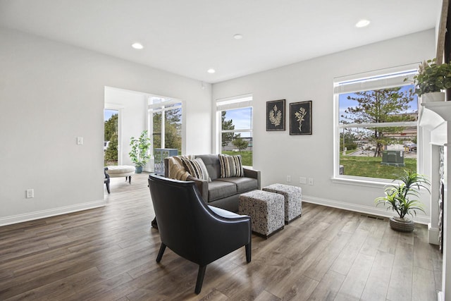 living room featuring hardwood / wood-style floors and a wealth of natural light