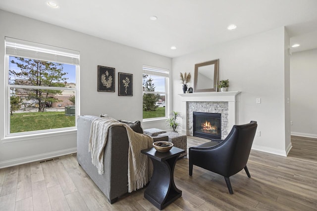 living room featuring a fireplace and wood-type flooring