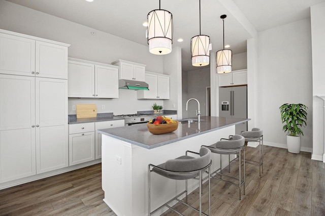 1432 Tenny Ave Unit 201, Waukesha, WI 53189 - kitchen featuring a sink, under cabinet range hood, wood finished floors, an island with sink, and recessed lighting