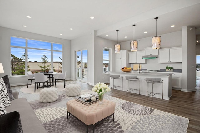 living room with sink and dark hardwood / wood-style floors