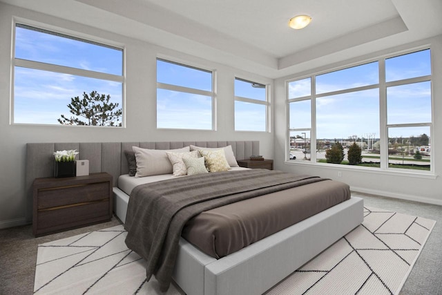 carpeted bedroom featuring multiple windows