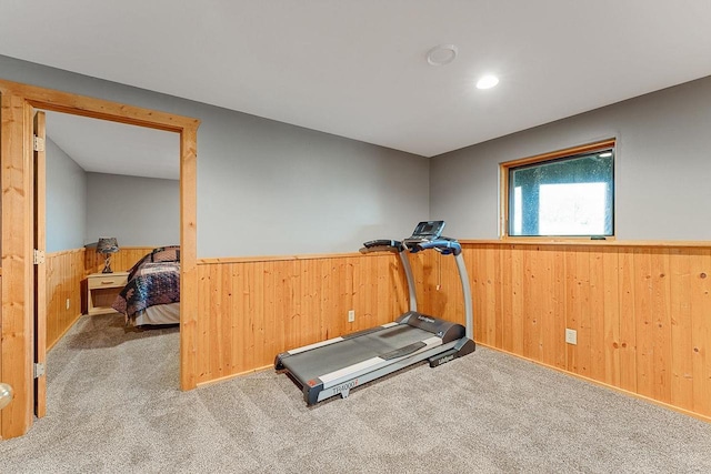 E7498 Mill Rd, Spring Green, WI 53588 - exercise area with a wainscoted wall, wood walls, carpet flooring, and recessed lighting