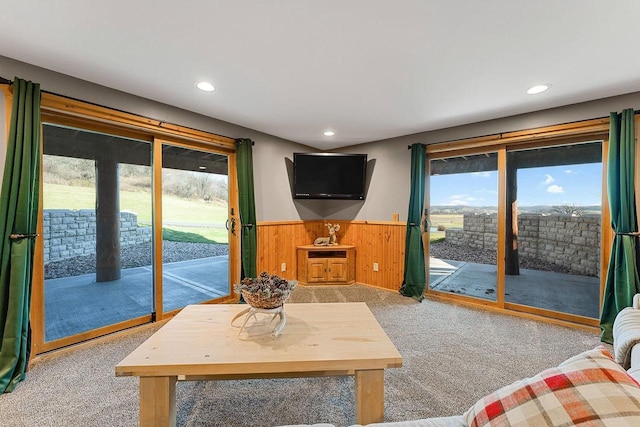 E7498 Mill Rd, Spring Green, WI 53588 - living area with carpet floors, wainscoting, recessed lighting, and wooden walls
