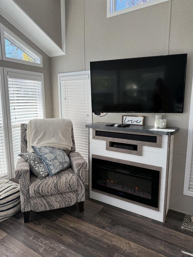 living area with dark hardwood / wood-style flooring and lofted ceiling