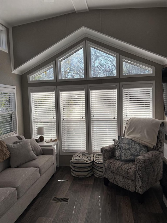 living room featuring lofted ceiling and dark hardwood / wood-style floors