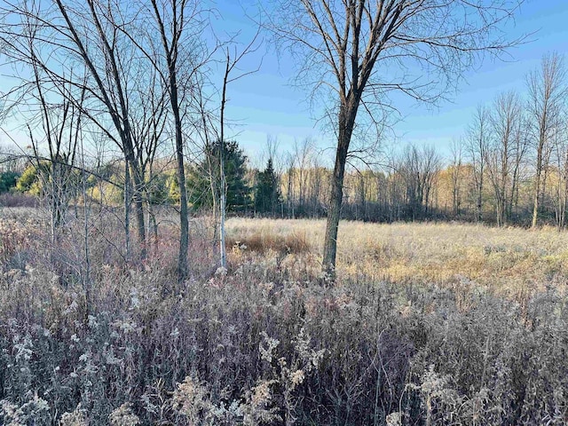 Elm Ave, Shawano WI, 54166 land for sale