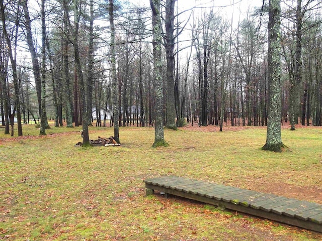 9675 Wayne Dr, Woodruff, WI 54568 - view of green lawn