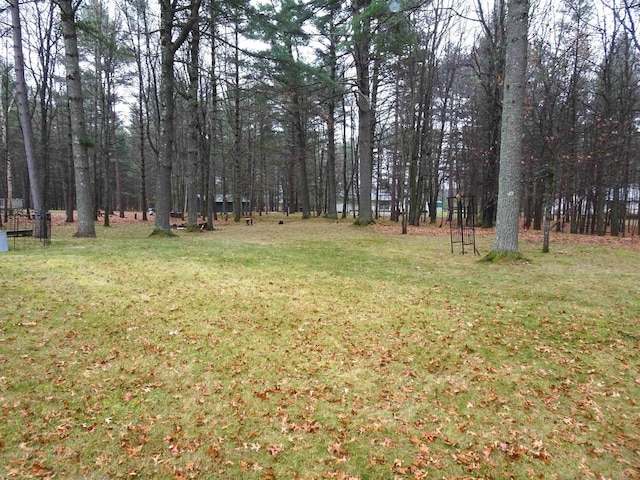9675 Wayne Dr, Woodruff, WI 54568 - view of green lawn