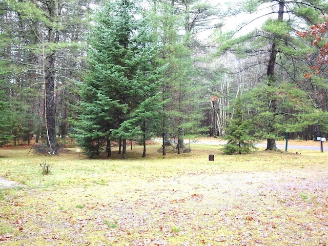 9675 Wayne Dr, Woodruff, WI 54568 - view of green lawn
