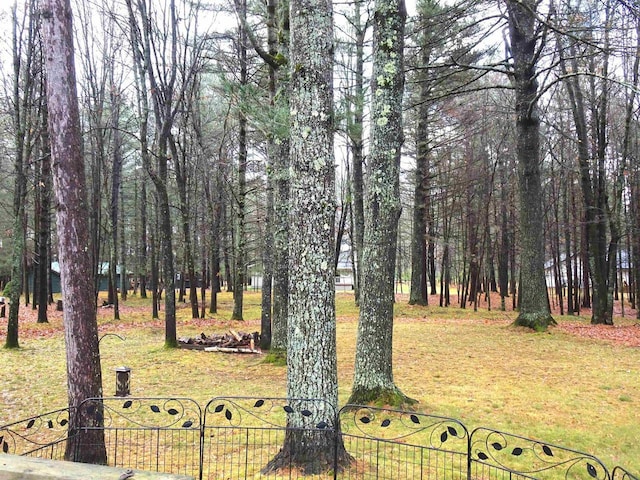 9675 Wayne Dr, Woodruff, WI 54568 - view of grassy yard