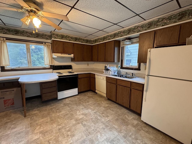 kitchen with a drop ceiling, dark brown cabinetry, sink, ceiling fan, and white appliances