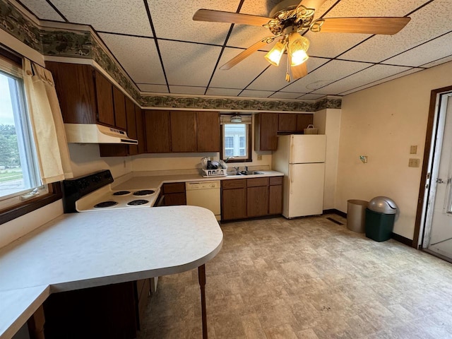 kitchen featuring a wealth of natural light, a paneled ceiling, white appliances, and ceiling fan