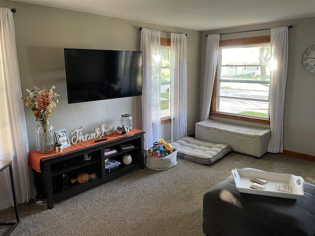 living room with a healthy amount of sunlight and carpet