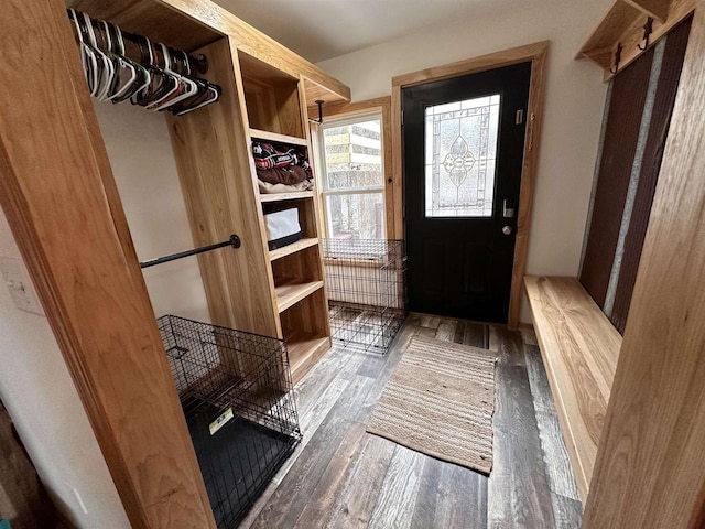 mudroom with dark wood-type flooring