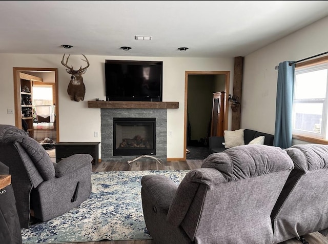 living room with a fireplace and wood-type flooring