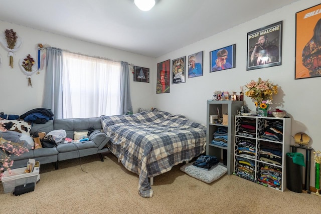 bedroom with carpet floors