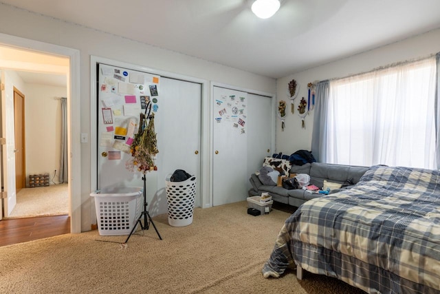 bedroom featuring wood-type flooring