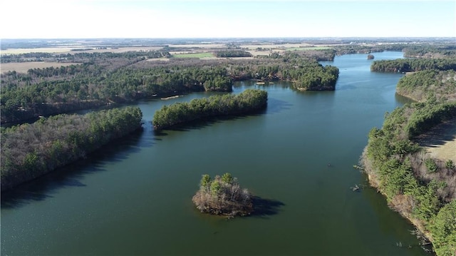 2343 11 1/4 Ave, Cameron, WI 54822 - drone / aerial view of a large body of water and a forest