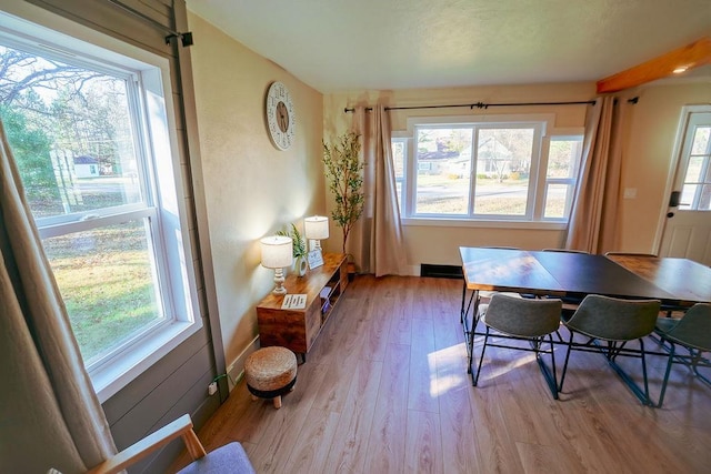 dining space with a healthy amount of sunlight and light hardwood / wood-style flooring