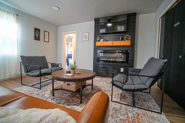 living room featuring hardwood / wood-style floors and a fireplace