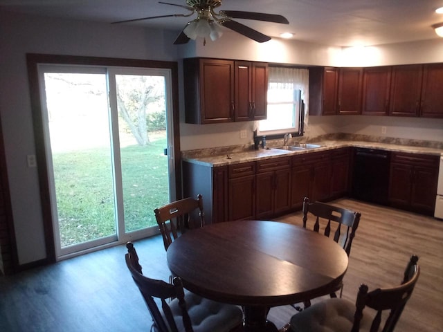 kitchen featuring black dishwasher, light wood-type flooring, sink, and ceiling fan