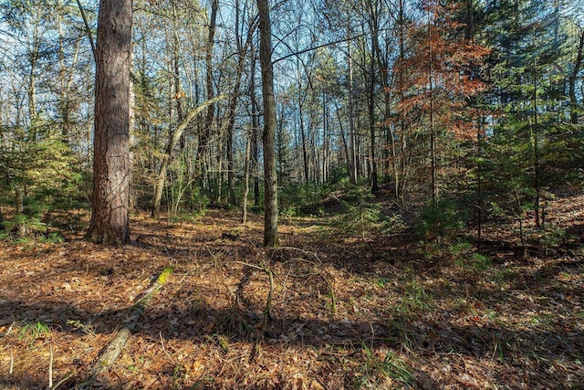 LOT18 The Point Rd W, Tomahawk, WI 54487
