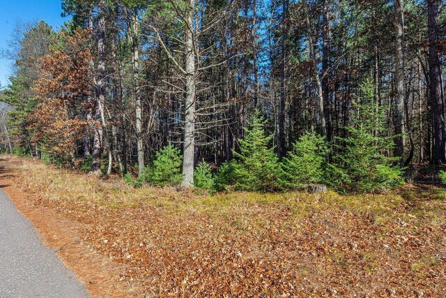 LOT18 The Point Rd W, Tomahawk, WI 54487