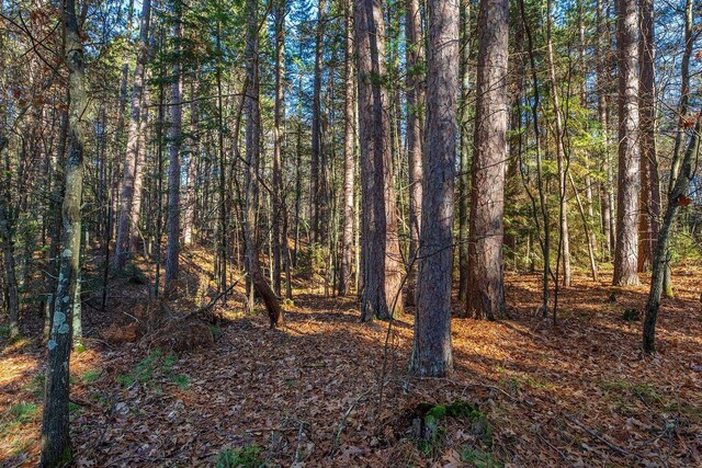 LOT18 The Point Rd W, Tomahawk, WI 54487