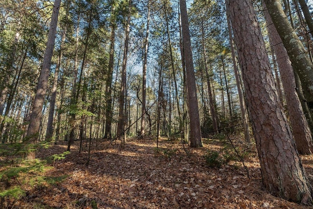 LOT18 The Point Rd W, Tomahawk, WI 54487