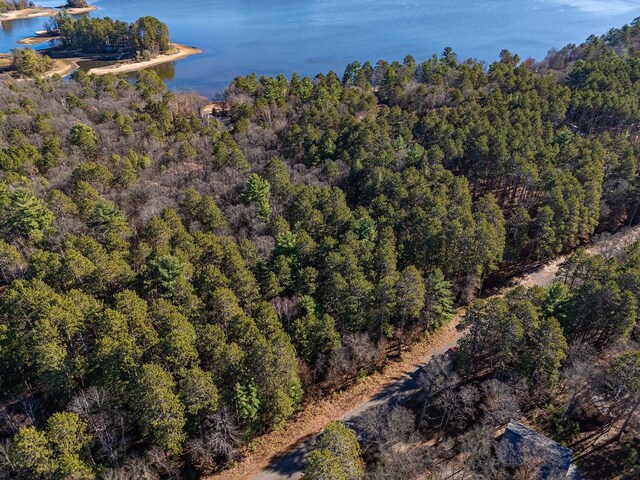 LOT18 The Point Rd W, Tomahawk, WI 54487