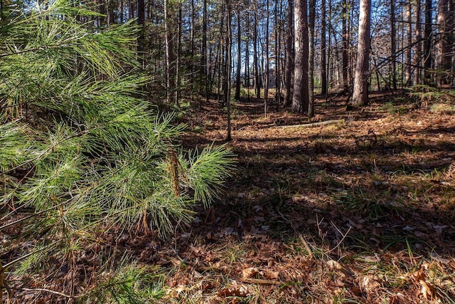 LOT18 The Point Rd W, Tomahawk, WI 54487