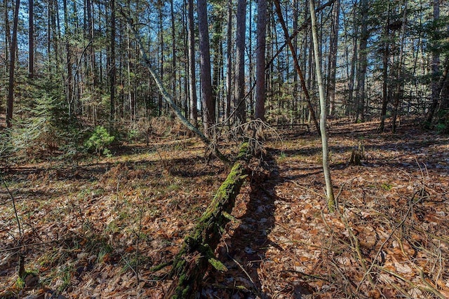 LOT18 The Point Rd W, Tomahawk, WI 54487