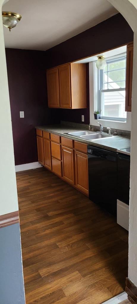 kitchen with dark wood-type flooring, black dishwasher, and sink