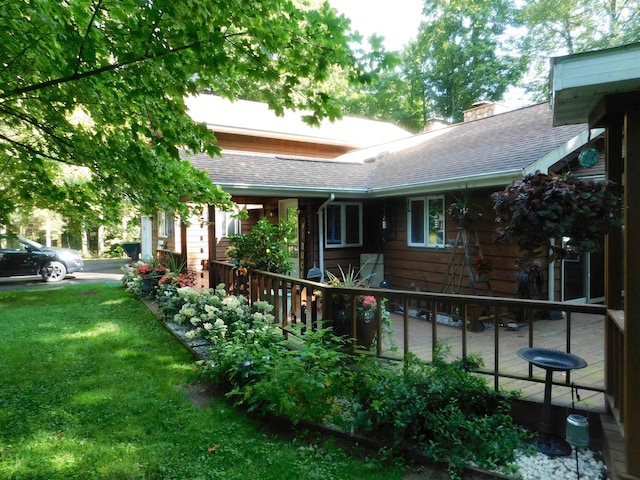 rear view of property with a yard