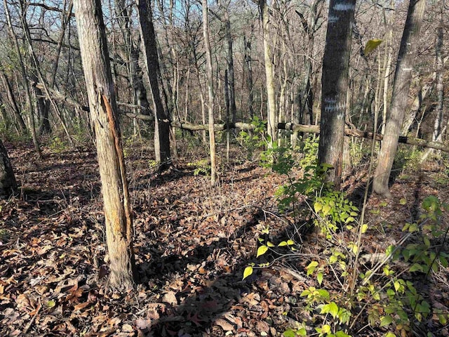 54121 Plum Creek Rd, Wauzeka, WI 53826