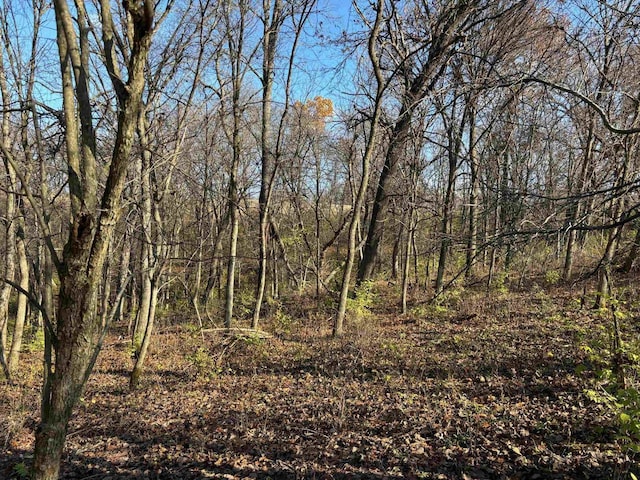 54121 Plum Creek Rd, Wauzeka, WI 53826