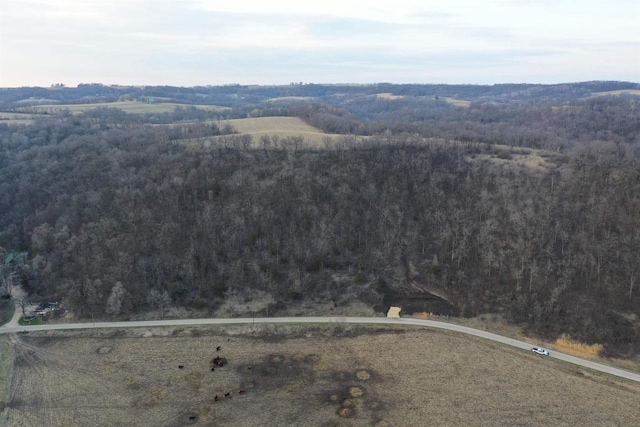 54121 Plum Creek Rd, Wauzeka, WI 53826
