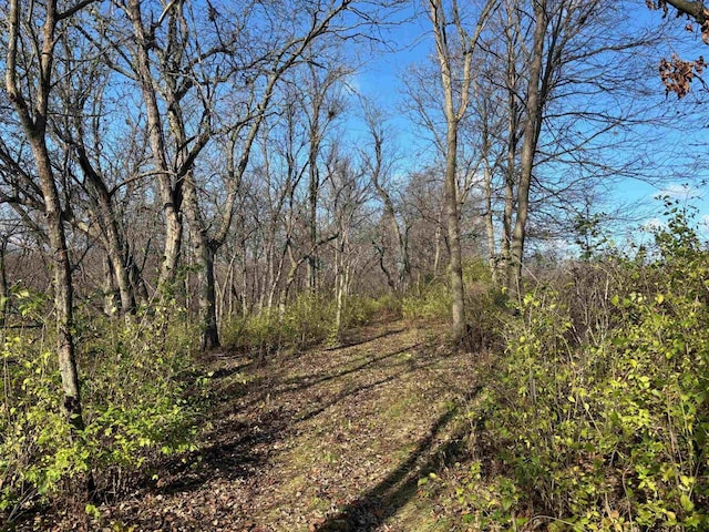 54121 Plum Creek Rd, Wauzeka, WI 53826