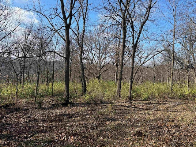 54121 Plum Creek Rd, Wauzeka, WI 53826