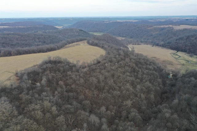 54121 Plum Creek Rd, Wauzeka, WI 53826